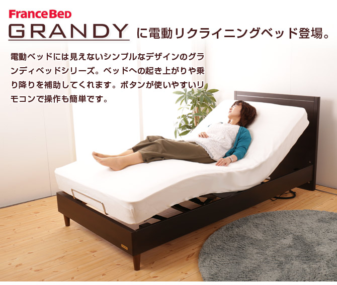 問題使えます電動ベッド　フランスベッド　 シングル　介護ベッド　電動ベッド